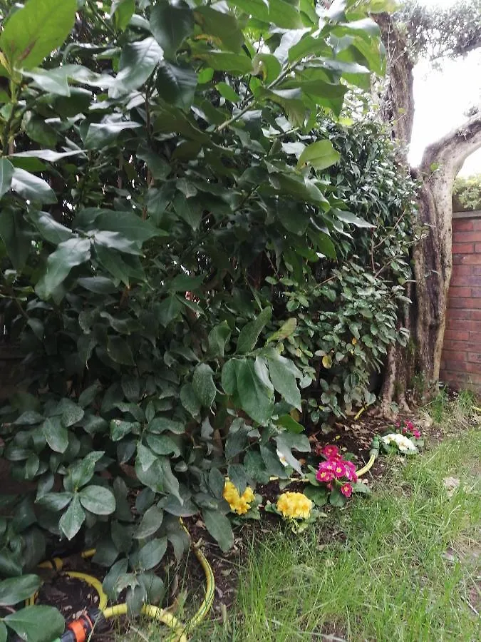 Casa Nonnanna - Nonnanna Home Viareggio Apartment